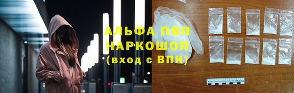 мдпв Богданович