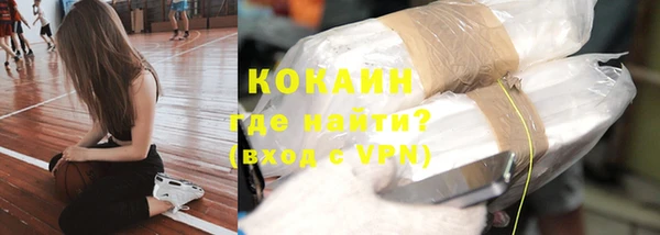 mdpv Бородино