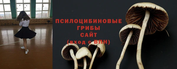 mdpv Бородино